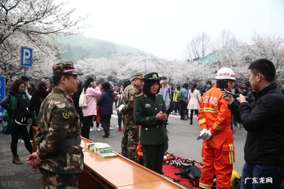 2022湖北省大学最新排名 湖北的大学排名一览表及分数线,湖北大学排行榜2021