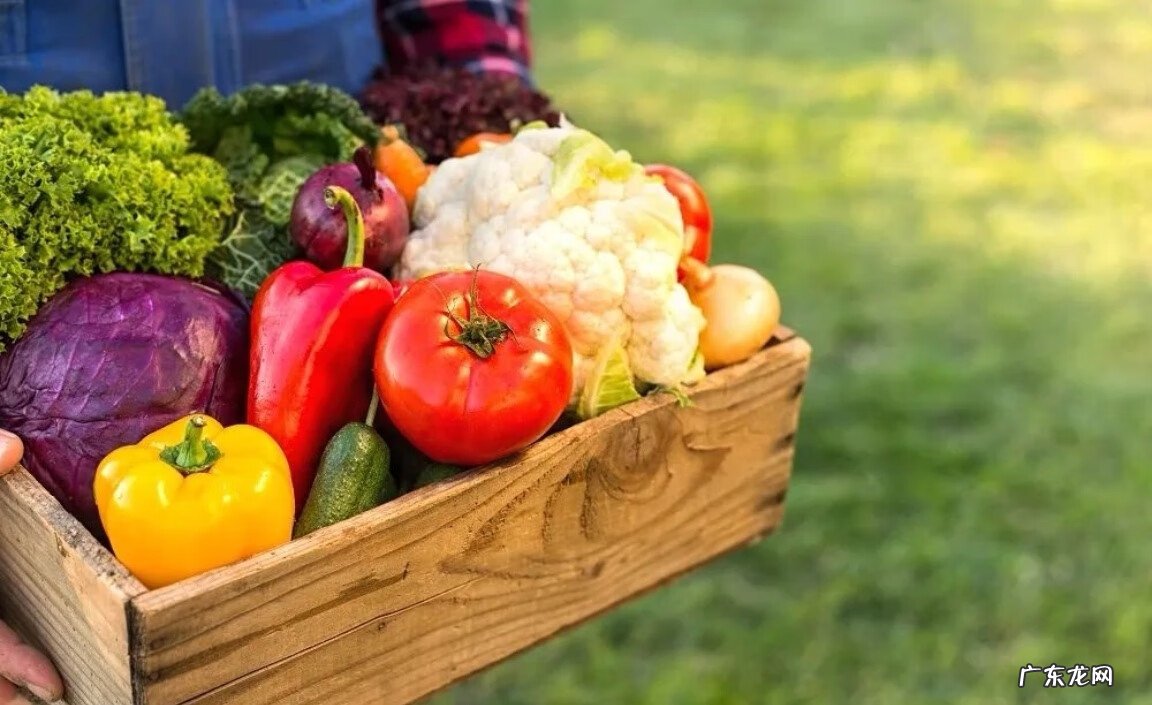 围绝经期保健包括 围绝经期保健内容