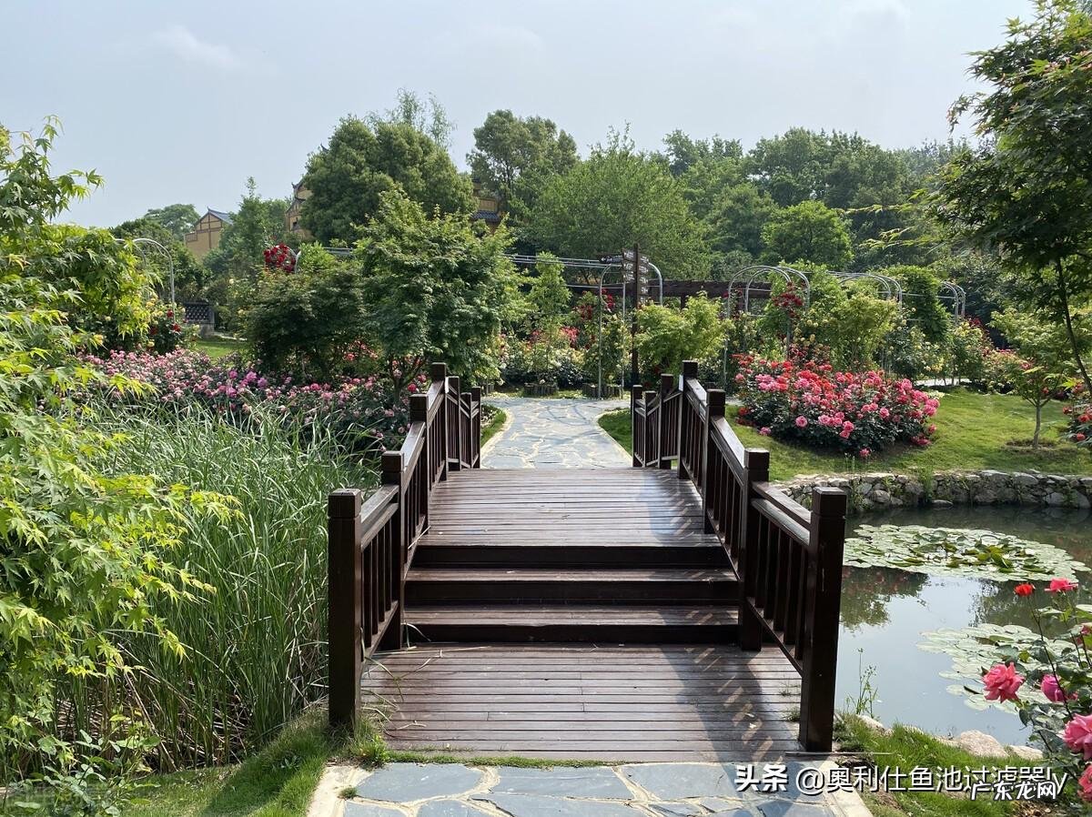 如何修建水池 如何修建院落风水池子