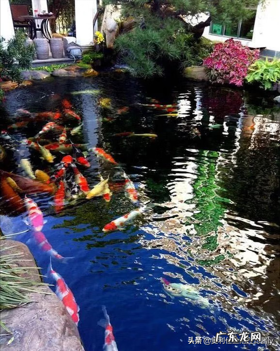 如何修建水池 如何修建院落风水池子