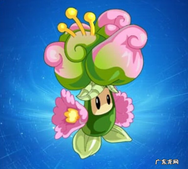 赛尔号布布种子怎么培养 赛尔号布布种子怎么获得