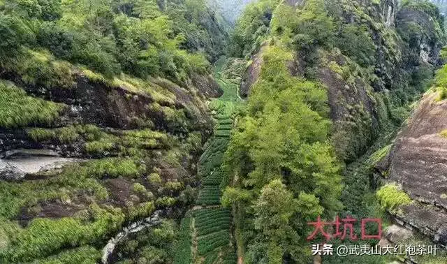 武夷山脉地图 武夷山地图全图