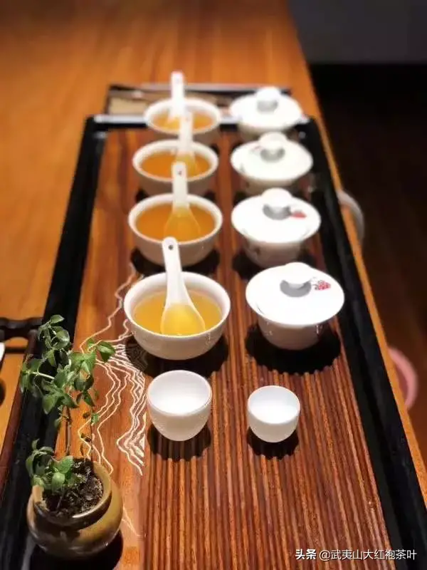 武夷山脉地图 武夷山地图全图