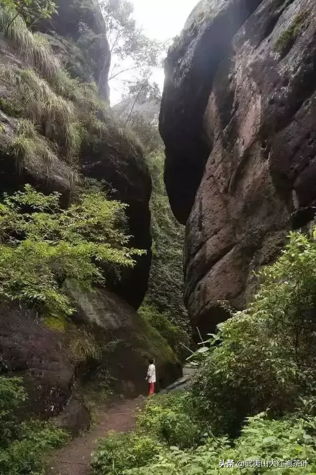 武夷山脉地图 武夷山地图全图