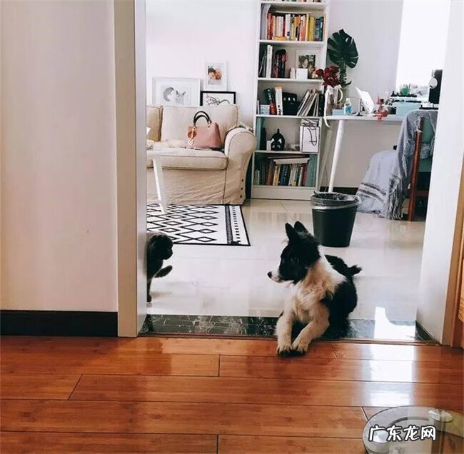 过门石颜色风水 风水学过门石