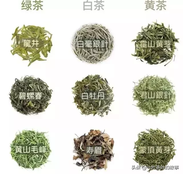 茶叶知识 茶叶相关知识