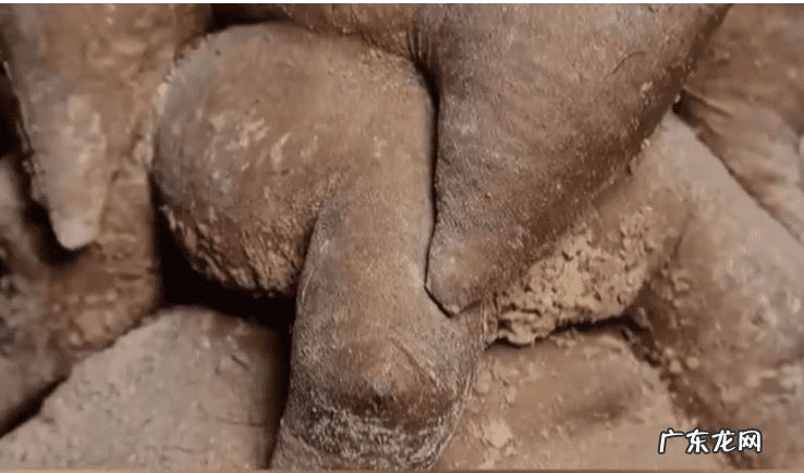 祁连山在哪 祁连山风水好吗