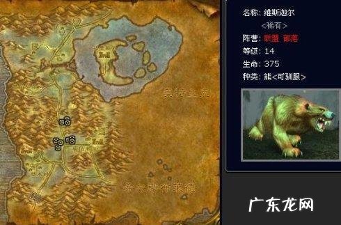 魔兽世界外域猎人稀有宝宝 魔兽猎人稀有宝宝有哪些