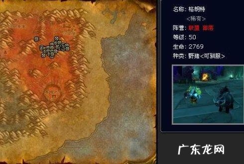 魔兽世界外域猎人稀有宝宝 魔兽猎人稀有宝宝有哪些