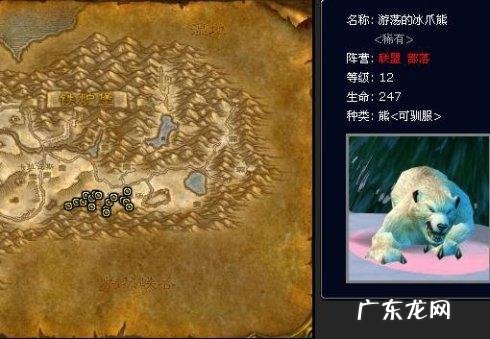 魔兽世界外域猎人稀有宝宝 魔兽猎人稀有宝宝有哪些