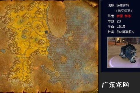 魔兽世界外域猎人稀有宝宝 魔兽猎人稀有宝宝有哪些