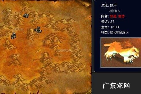 魔兽世界外域猎人稀有宝宝 魔兽猎人稀有宝宝有哪些