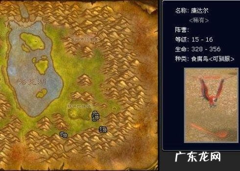 魔兽世界外域猎人稀有宝宝 魔兽猎人稀有宝宝有哪些