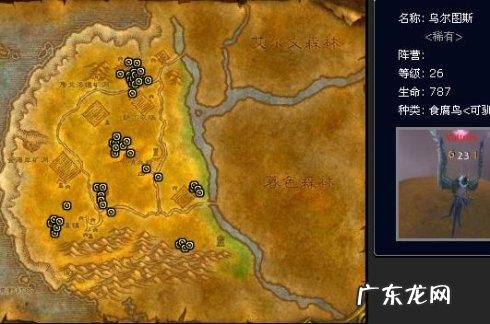 魔兽世界外域猎人稀有宝宝 魔兽猎人稀有宝宝有哪些