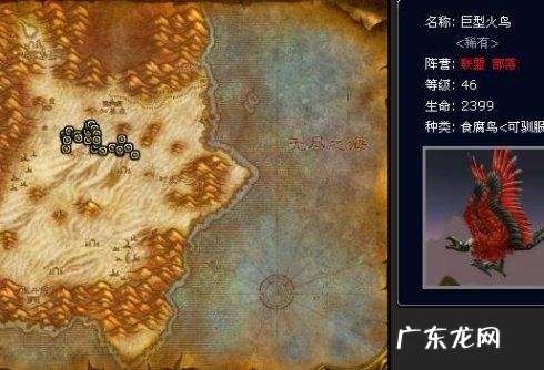 魔兽世界外域猎人稀有宝宝 魔兽猎人稀有宝宝有哪些