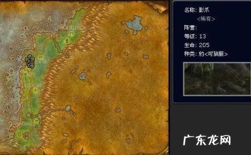 魔兽世界外域猎人稀有宝宝 魔兽猎人稀有宝宝有哪些