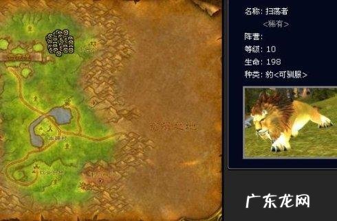 魔兽世界外域猎人稀有宝宝 魔兽猎人稀有宝宝有哪些