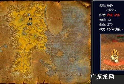 魔兽世界外域猎人稀有宝宝 魔兽猎人稀有宝宝有哪些