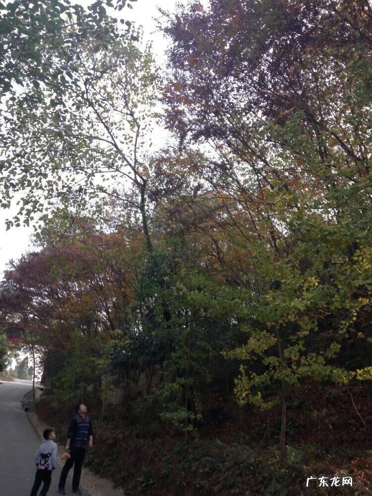 新津老君山风景区 新津老君山的地势风水如何