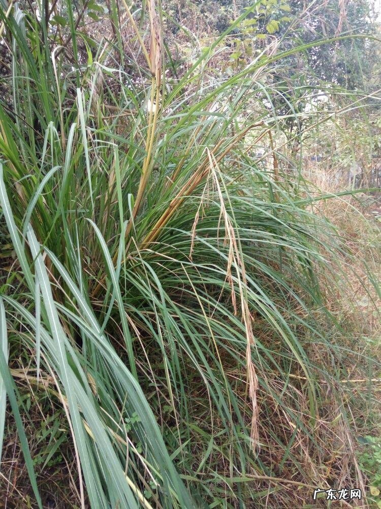 新津老君山风景区 新津老君山的地势风水如何