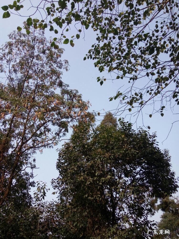 新津老君山风景区 新津老君山的地势风水如何