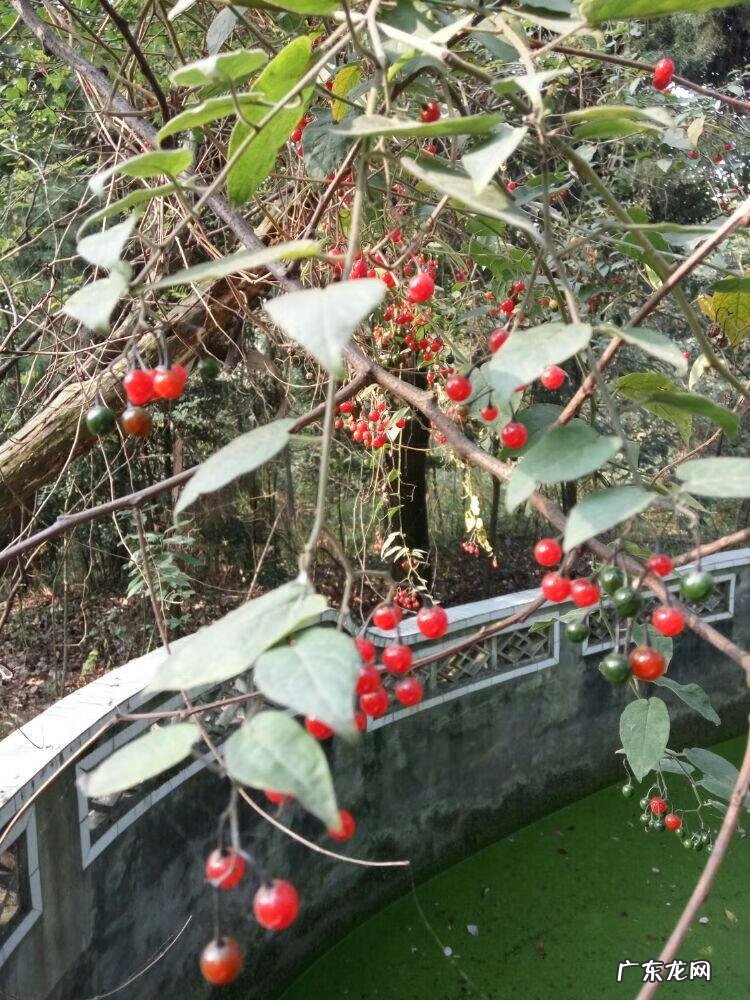 新津老君山风景区 新津老君山的地势风水如何