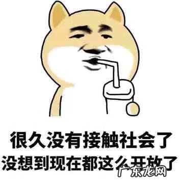 北冥神功和九阳神功哪个厉害 葵花神功怎么练