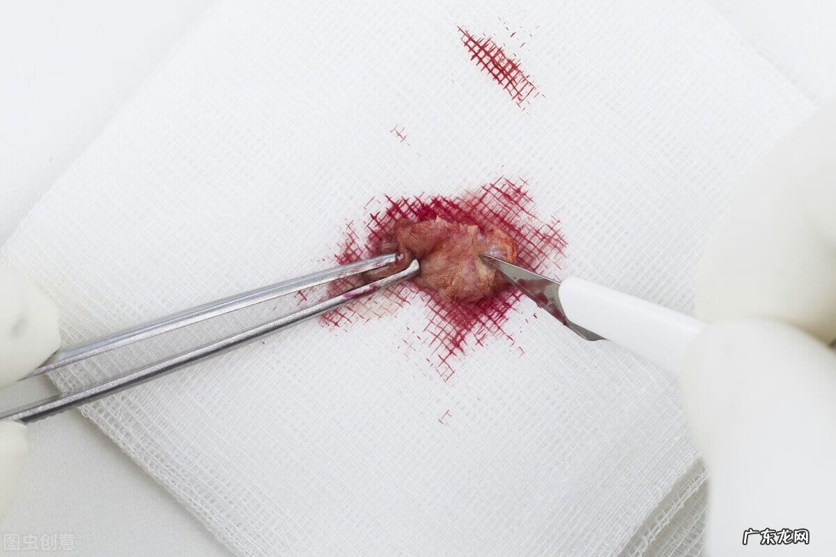 北冥神功和九阳神功哪个厉害 葵花神功怎么练