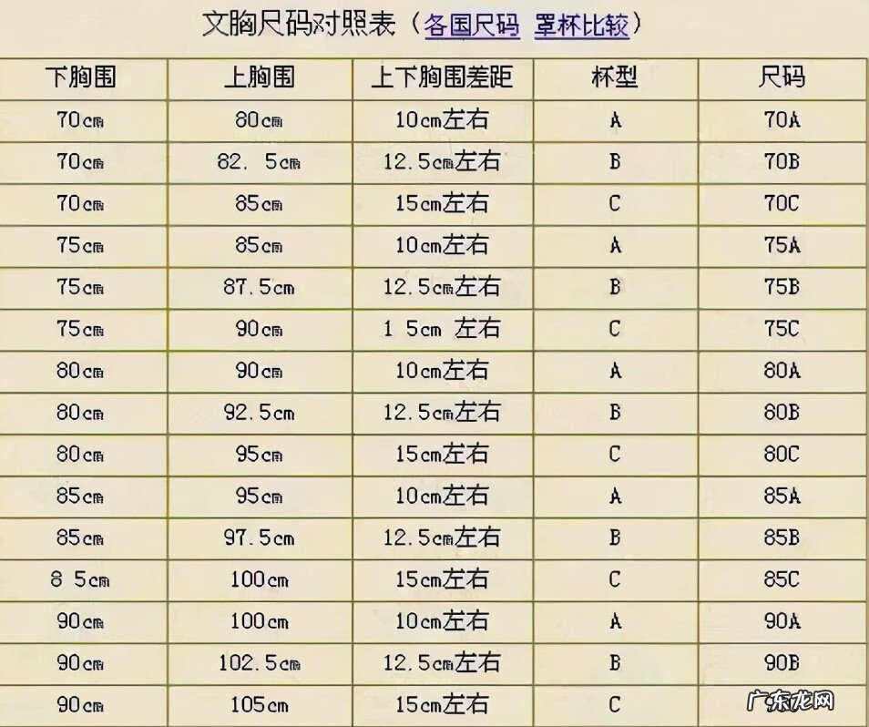 衣服码数参考 衣服的码数代表什么意思