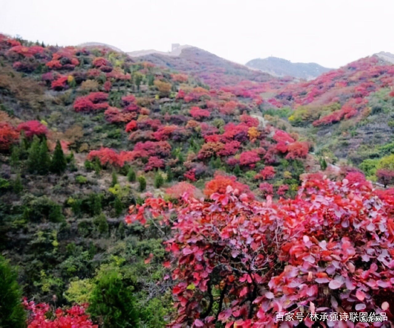 杨柳青文化公园 杨柳青森林公园在哪里