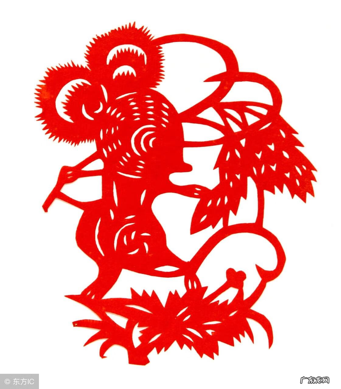 属鼠住房风水 属鼠的风水传说是什么