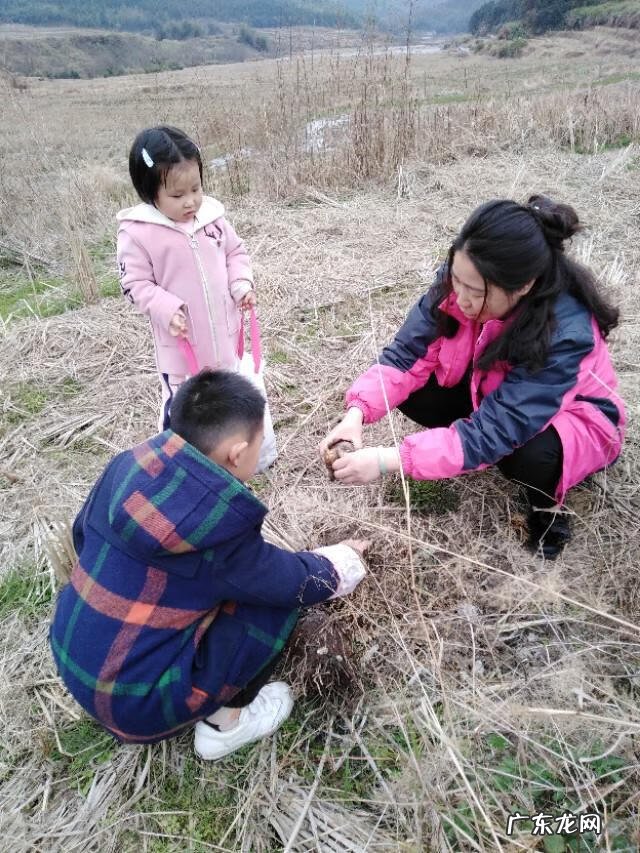 生活有时需要善意的谎言 生活需要善意的谎言的观点