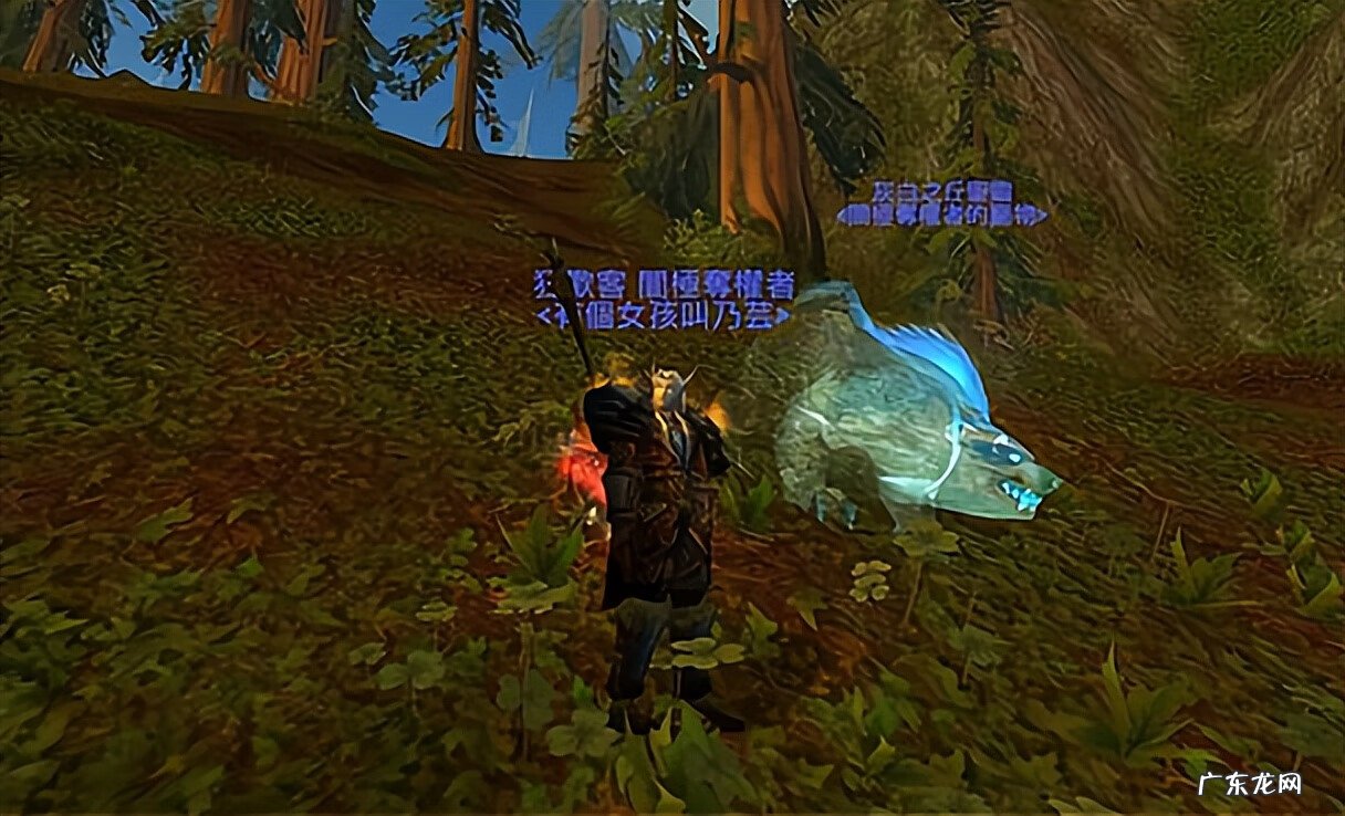 27只灵魂兽 70猎人灵魂兽