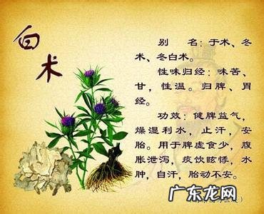 白术的功效和作用 白术的功效与作用