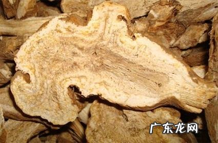 白术的功效和作用 白术的功效与作用