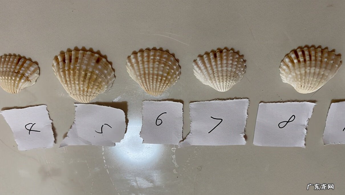 电动牙刷好还是普通的好 U型电动牙刷