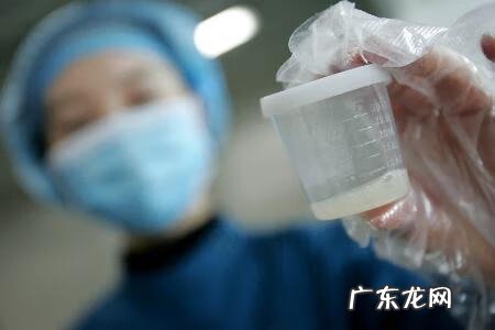 精子固体状 精液固体