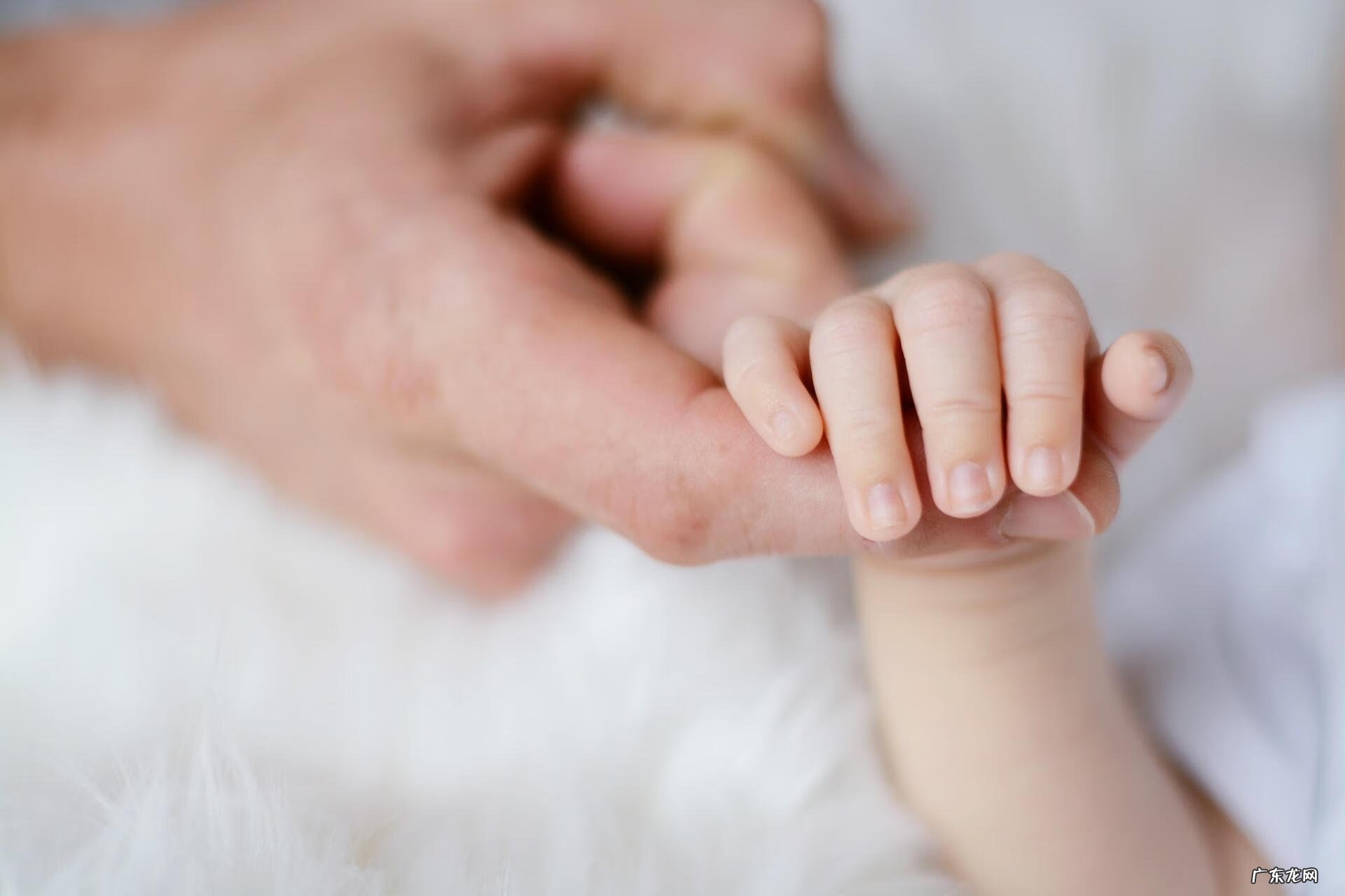 脑门中间有道棱