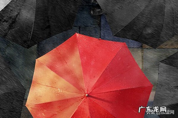 1000元投资小项目 5千元以下投资小项目投资