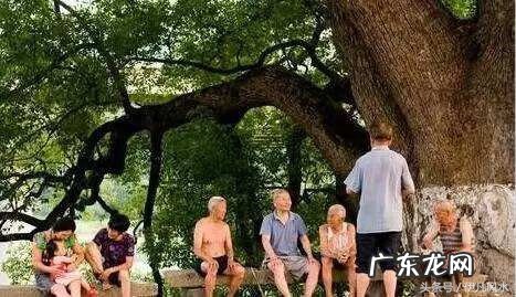 三合风水吧 福建厦门三合风水先生