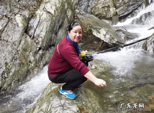 有马蜂窝的地方风水怎么样 马蜂窝的风水说法