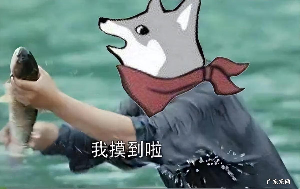 亚索新皮肤叫什么 亚索新皮肤多少钱