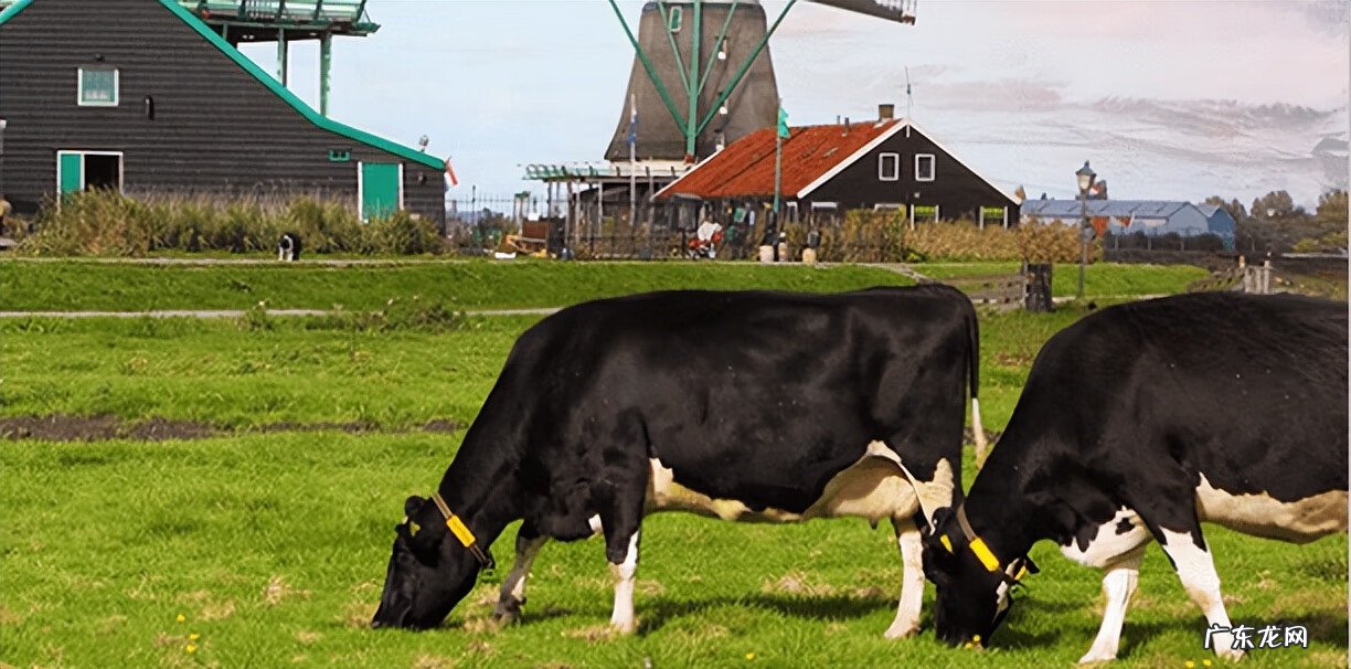 澳优奶粉哪个系列的要好一点 澳优奶粉好吗