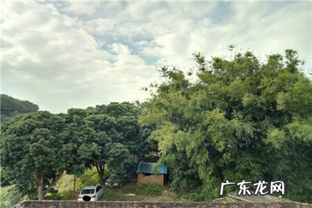 村里的风水怎么看 农村怎么看风水