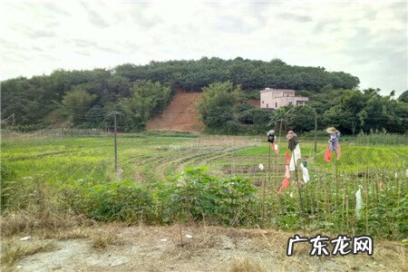村里的风水怎么看 农村怎么看风水