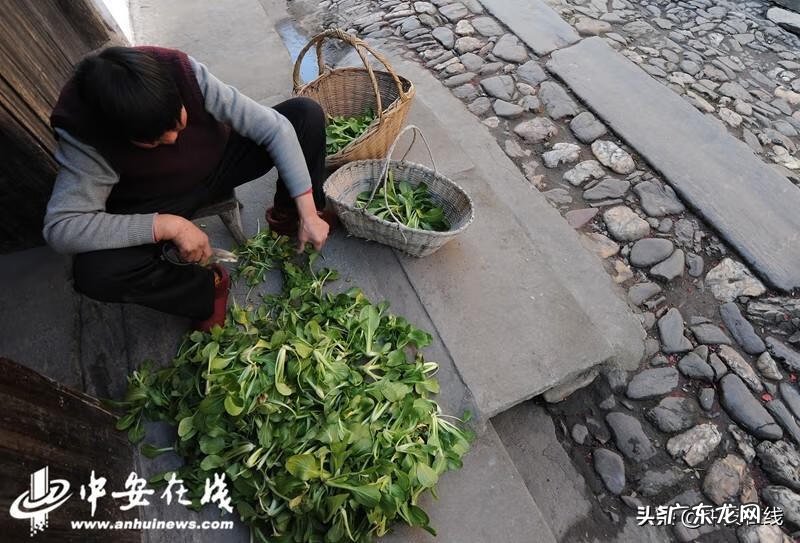 六安中公教育培训班 六安有没有风水培训班啊