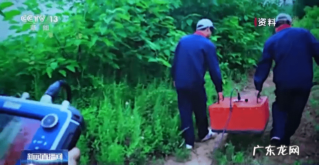 凤嘴面相图 凤凰嘴是啥意思