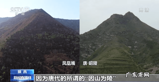 凤嘴面相图 凤凰嘴是啥意思