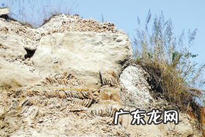 千锤万凿出深山是不是化学变化 千锤万凿出深山,烈火焚烧若等闲的意思猜谜