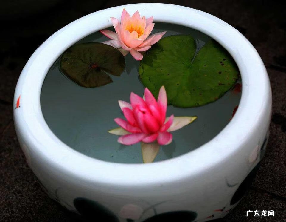 夫妻爱吵架的风水化解 夫妻果蔬店风水